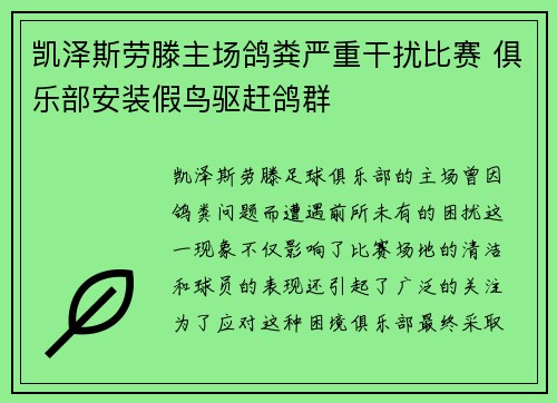 凯泽斯劳滕主场鸽粪严重干扰比赛 俱乐部安装假鸟驱赶鸽群